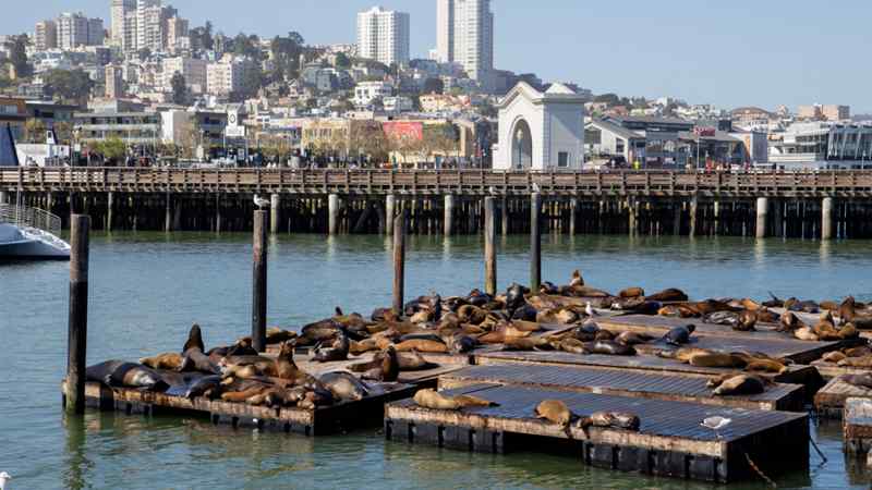 San Francisco : visites, activités et tourisme