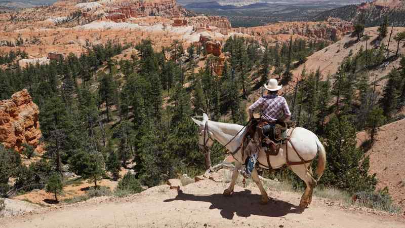 Bryce Canyon balade à cheval