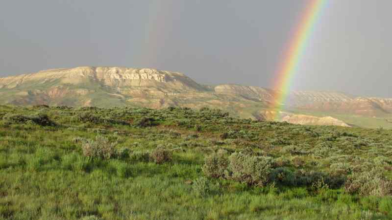 Fossil Butte National Monument