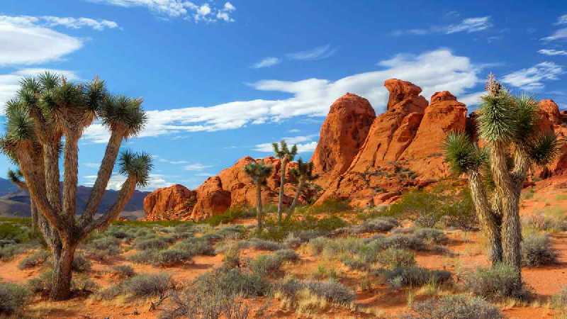 Gold Butte National Monument