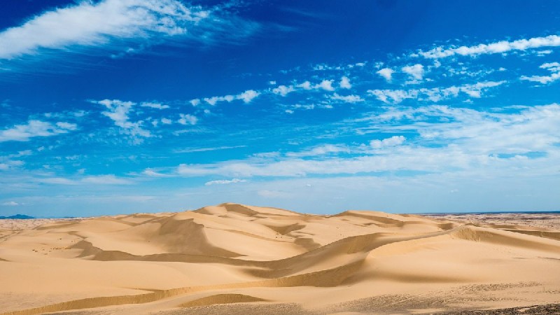 Imperial Sand Dunes Recreation Area