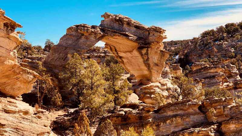 Inchworm Arch