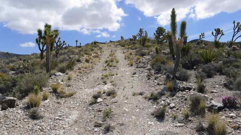 Travaux, routes fermées Mojave National Preserve