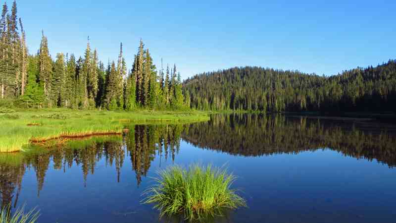 Mount Rainier National Park