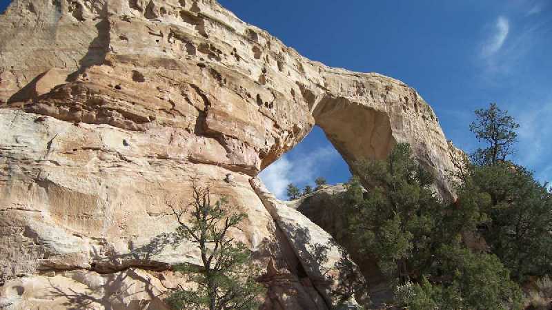 Sam Pollock Arch