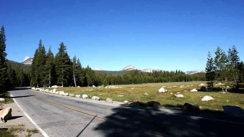 Tioga Road