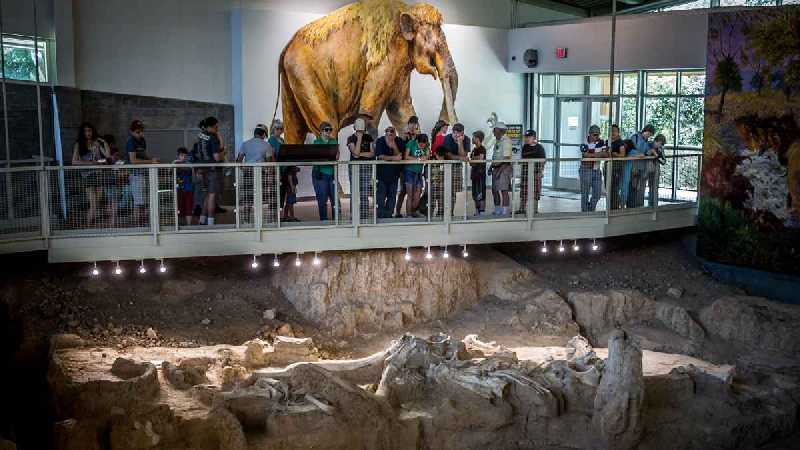 Waco Mammoth National Monument