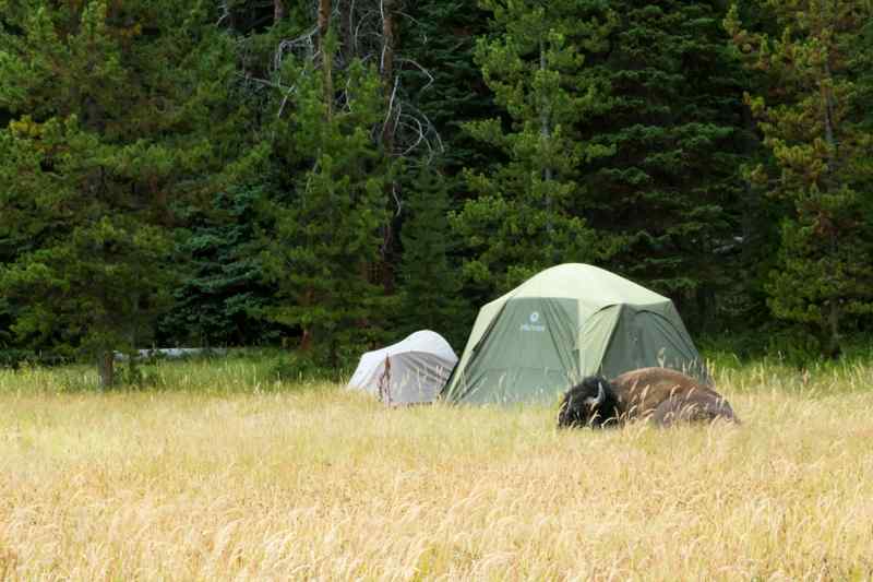 Faire du camping dans l'ouest américain