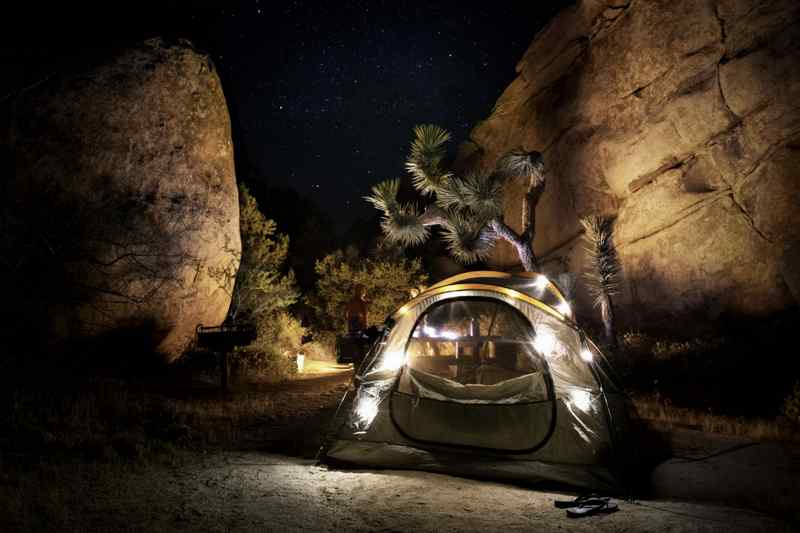 Camping Joshua Tree National Park