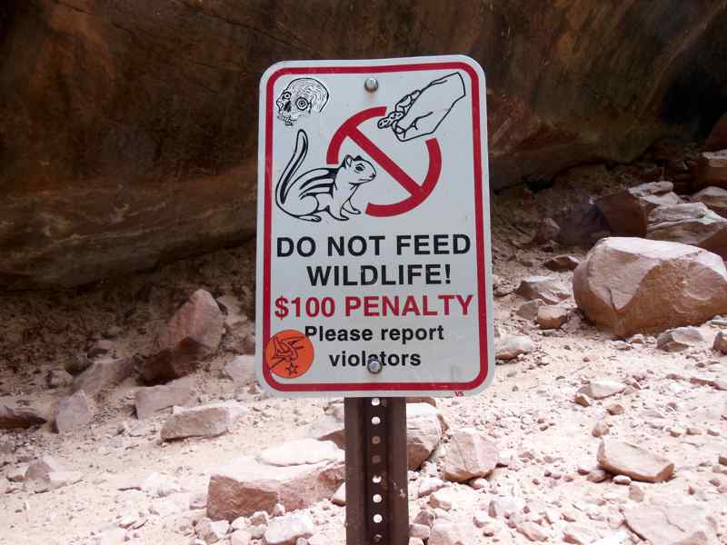 Do not feed wildlife