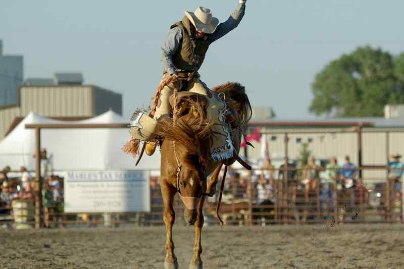 Chapeau de cowboy (les fameux stetsons)