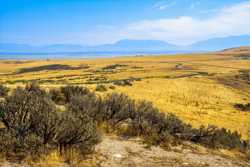 Antelope Island State Park