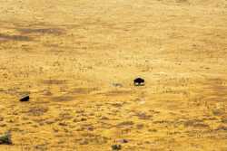 Antelope Island State Park