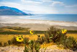 Antelope Island State Park