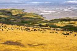 Antelope Island State Park
