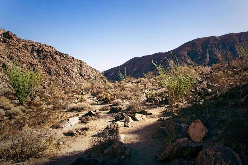 Borrego Palm Canyon Trail