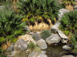 Anza-Borrego Desert State Park