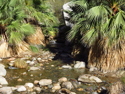 Anza-Borrego Desert State Park