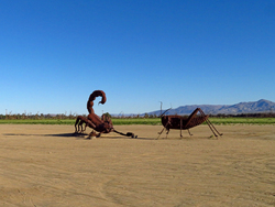Anza-Borrego Desert State Park