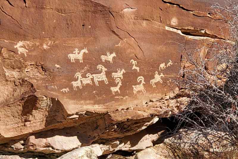 Ute Indian Petroglyphs