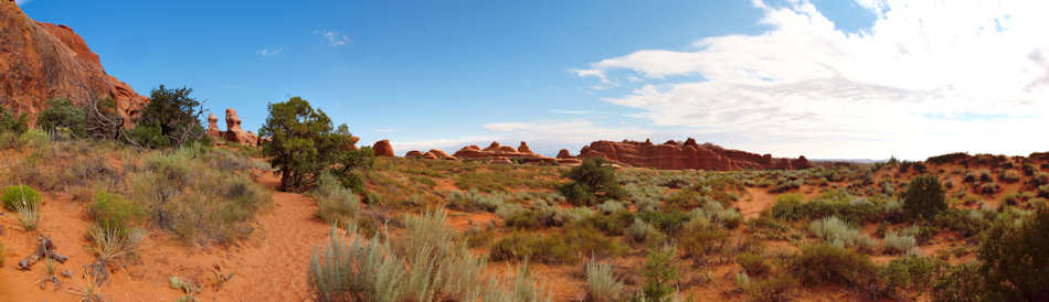 Arches National Park