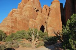 Arches National Park