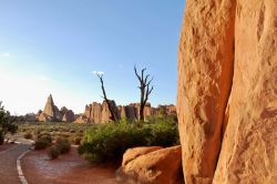 Arches National Park