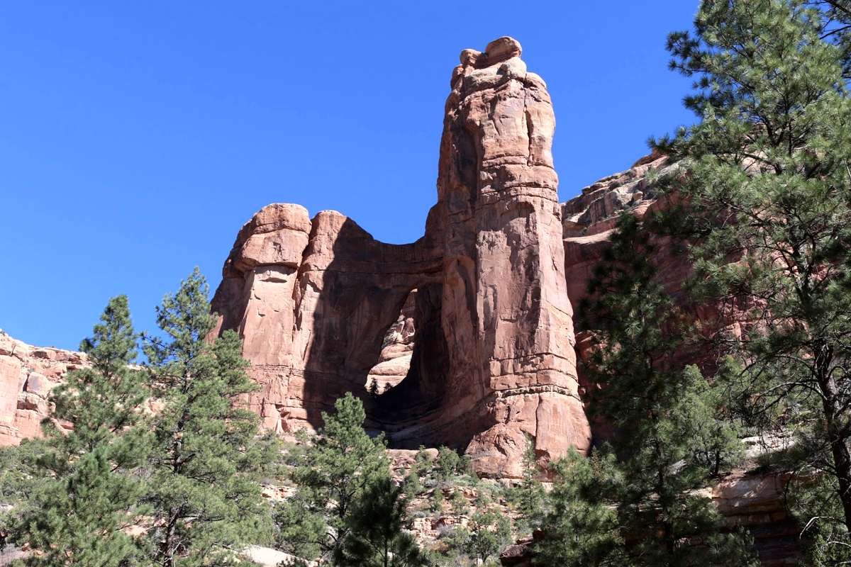 Arch Canyon