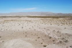 Big Bend National Park