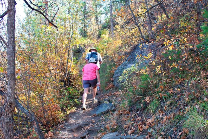 Oak Flat Loop Trail