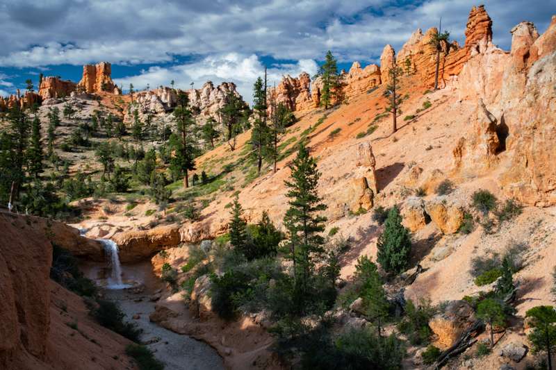Mossy Cave trail