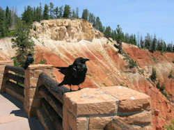 Bryce Canyon National Park