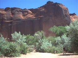 Canyon de Chelly National Monument