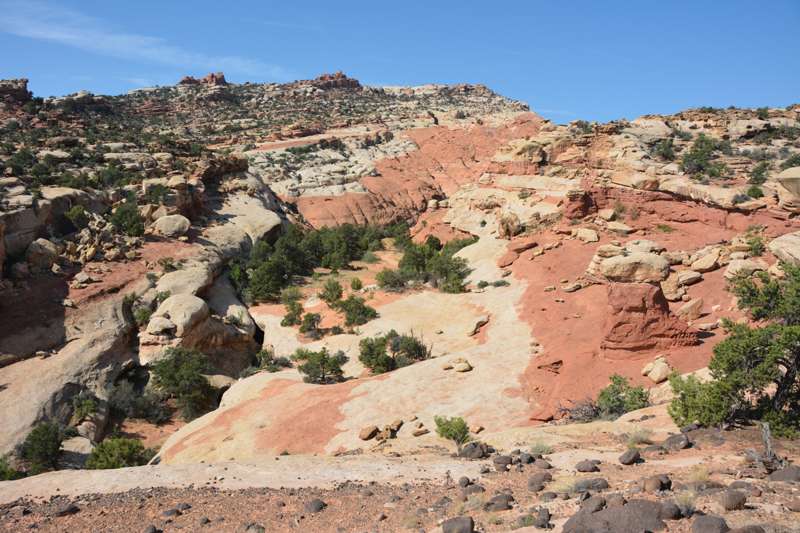 Cohab Canyon trail