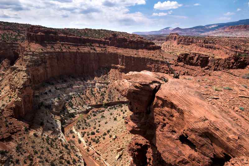 Goosenecks Overlook