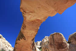 Capitol Reef National Park