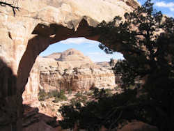 Capitol Reef National Park