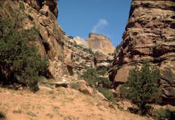 Capitol Reef National Park