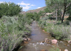 Capitol Reef National Park