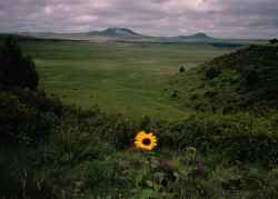 Capulin Volcano National Monument