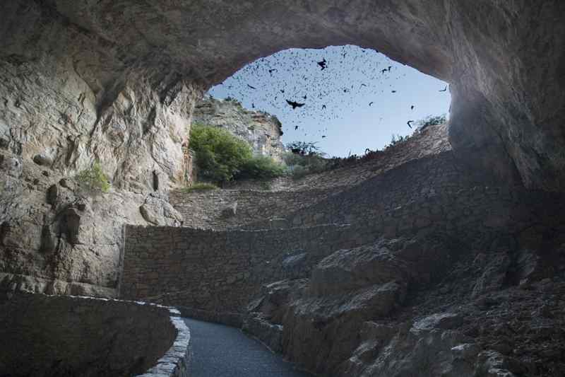 Vol de chauves-souris Carlsbad Caverns