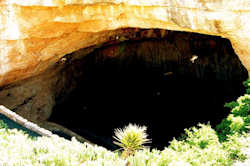 Carlsbad Caverns National Park