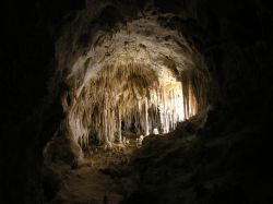 Carlsbad Caverns National Park