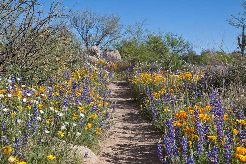 Sutherland Trail