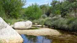 Catalina State Park