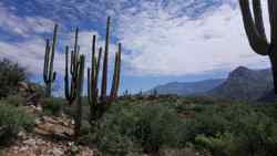 Catalina State Park