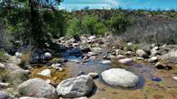 Catalina State Park