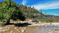 Catalina State Park