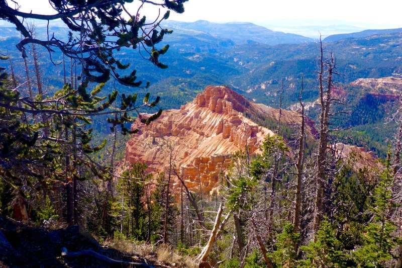 Alpine Pond Nature Trail