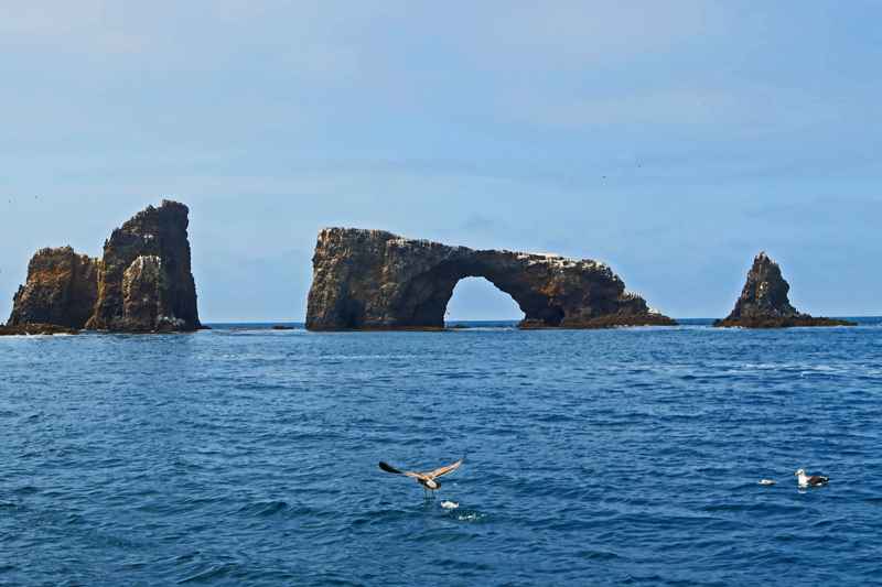 Arch Rock